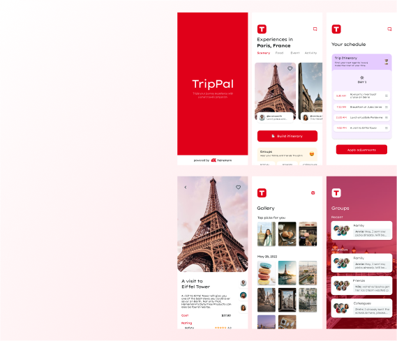 Web Design 5
